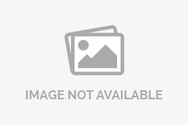 Gakkum Kehutanan Panggil Direksi PT RAPP Terkait Kematian Gajah Sumatera di Kawasan Konsesi Riau